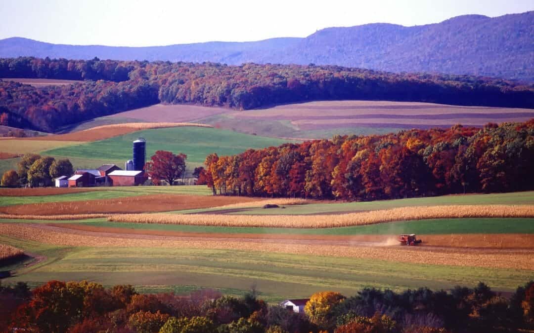 Farm Vehicle Accident